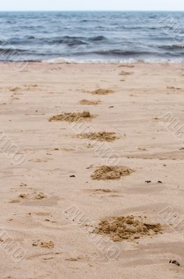 footprints on sand