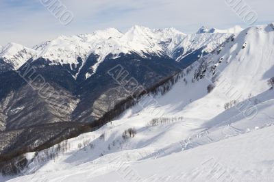 freeride zone