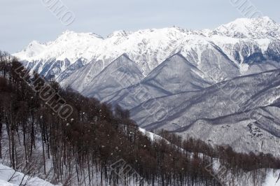 Caucasus