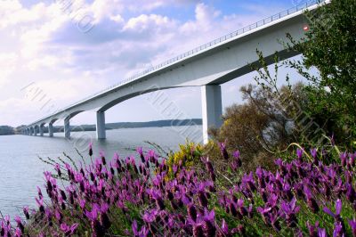  Bridge on the river