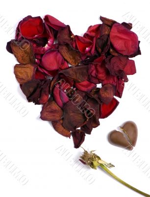 Broken Love 2