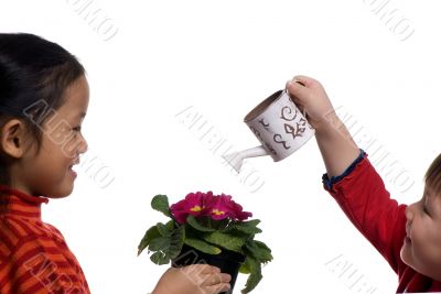 Watering a plant