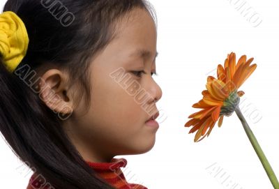 Looking at a flower