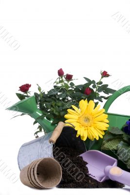 Gardening Tools 4