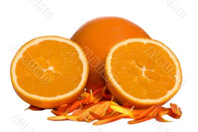 Sliced Orange