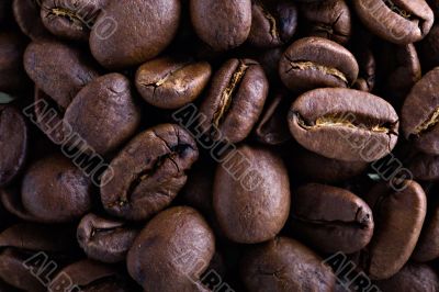 coffee beans