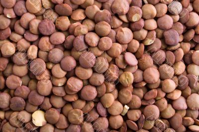lentils