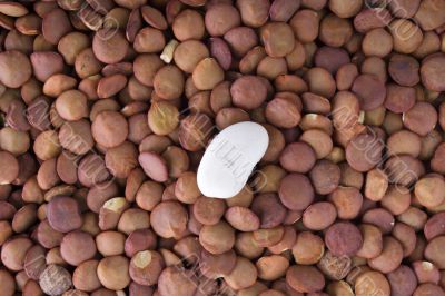 beans