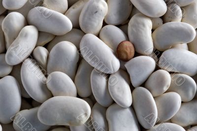 beans