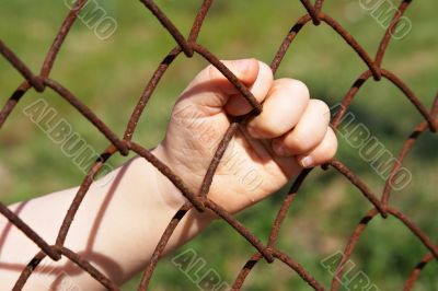 baby hand