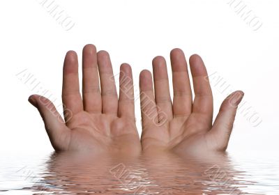 Open hands from water