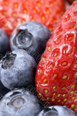 Fruit Series (Macro Blueberries and Strawberries)