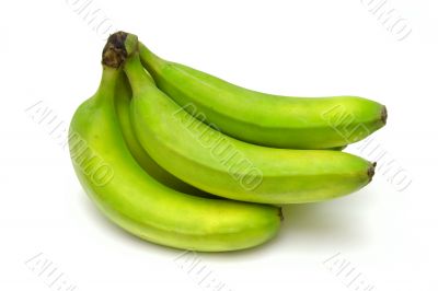 Green bananas