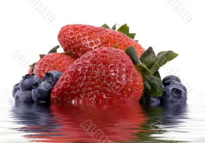 Fruit Series (Isolated blueberries and strawberries in water)