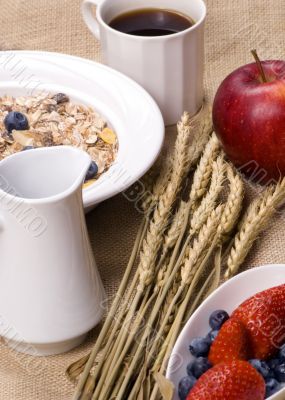 Healthy Breakfast 4