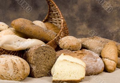 Bread Series (assortment of breads)