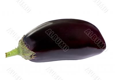 Vegetable Series (eggplant)