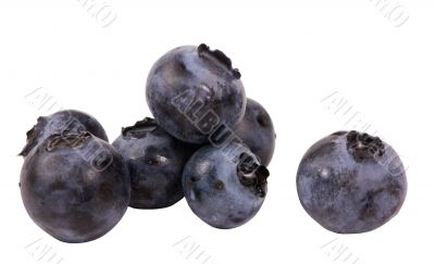 Fruits & Vegetable Series (Blueberries)