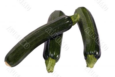 Vegetable Series (zucchini)