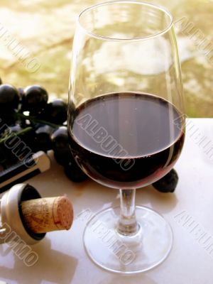 Glass of Red wine