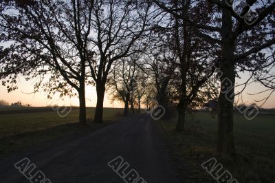 Sunset on field road