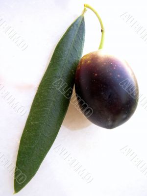 Olive
