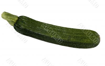 Vegetable Series