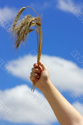 Young Man With Spikes