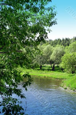 Spring river