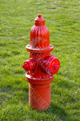 Red Fire Hydrant