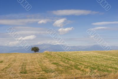 Spain landscape