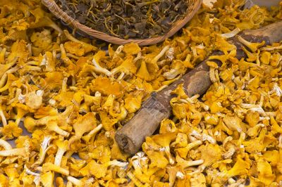 chanterelles at market