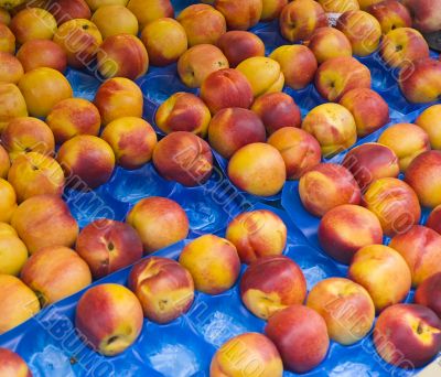 nectarines at market