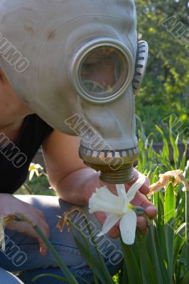 spring allergy