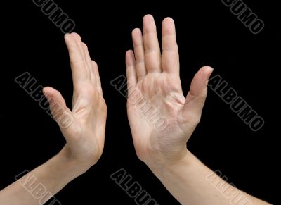 hands