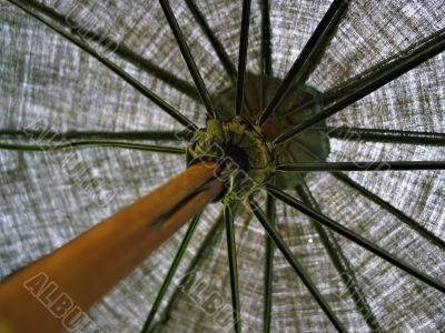 old umbrella