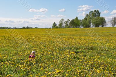 little child among flowers