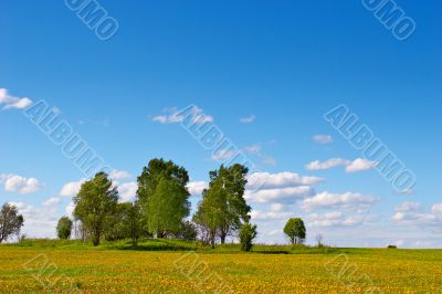 summer day