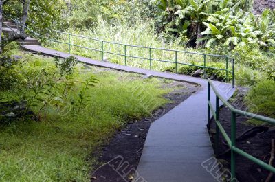 A Path
