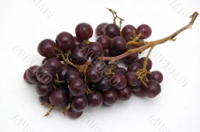 Bunch of Grapes