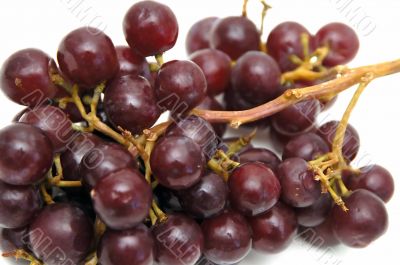 Bunch of Grapes