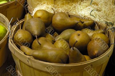 Pears on basket