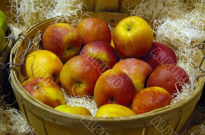 Basket of Apples