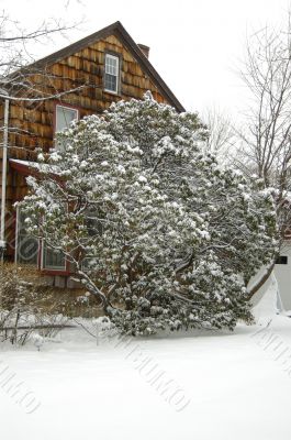 After snow