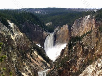 Yellowstone Falls