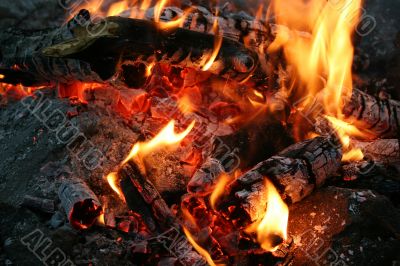 Bright inflaming flame on a wood