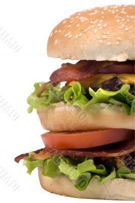 Hamburger Series 011