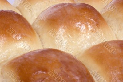 Fresh Rolls 1
