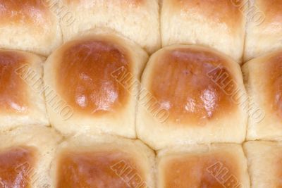 Fresh Rolls 2