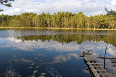 forest lake